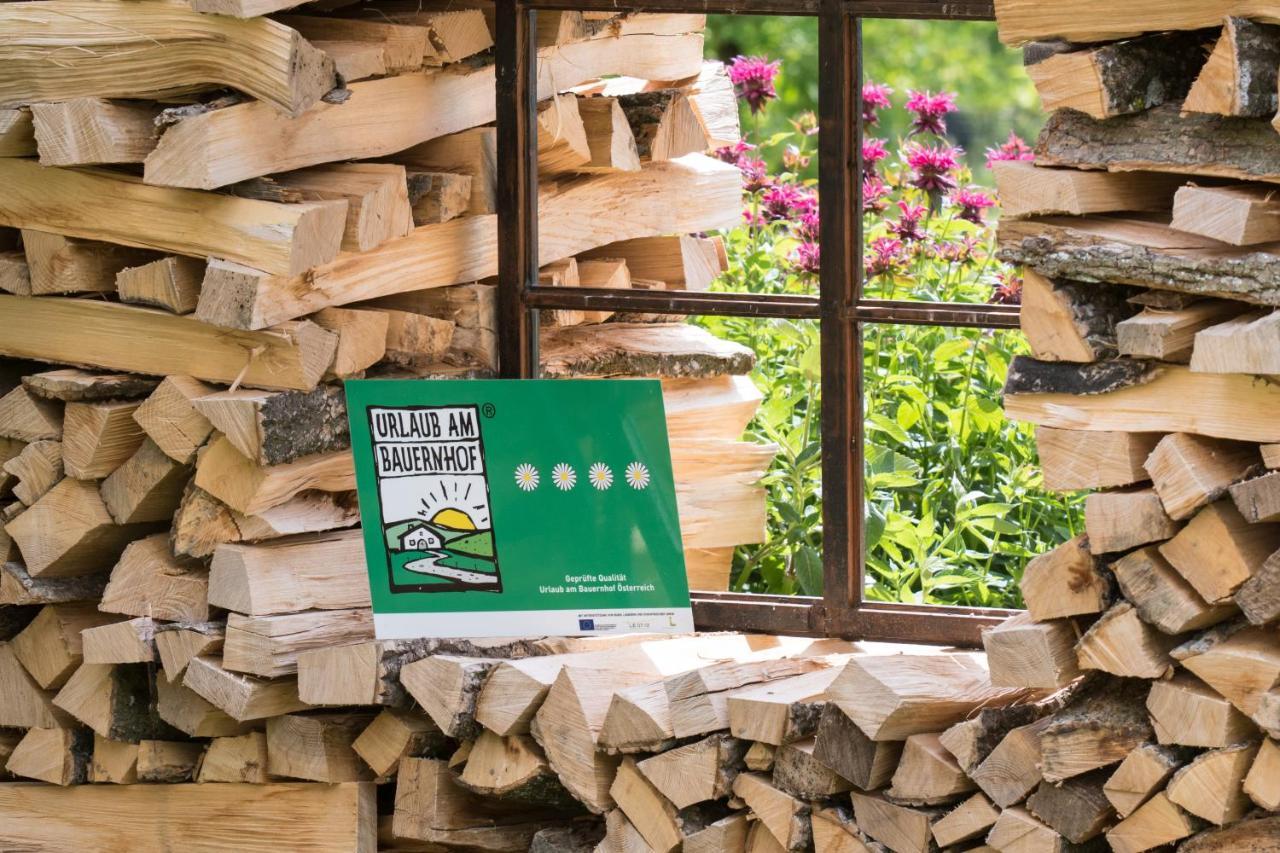 Waldbothgut Villa Linz Kültér fotó